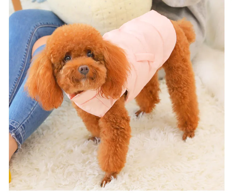 Hoopet Одежда для собак кошек осенне-зимняя теплая одежда костюм собаки маленькая одежда для собак наряд