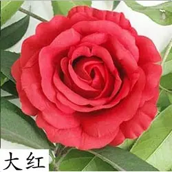 Artificial & Dried Flowers 50pcs/Lots 12cm Large Artificial Roses Flower Heads DIY Wedding Wall Arch Flowers Valentine's Day Party Decoration Fake Flowers dried flower wreath Artificial & Dried Flowers