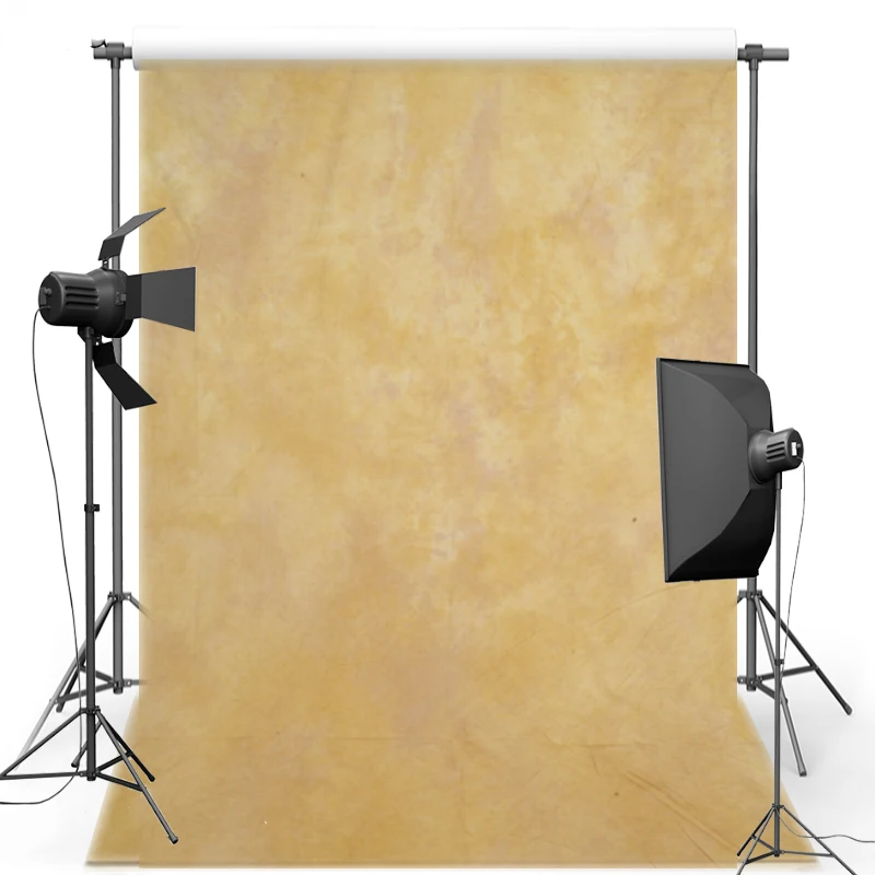MEHOFOTO Old master painting Vintage photography background Pro Dyed
