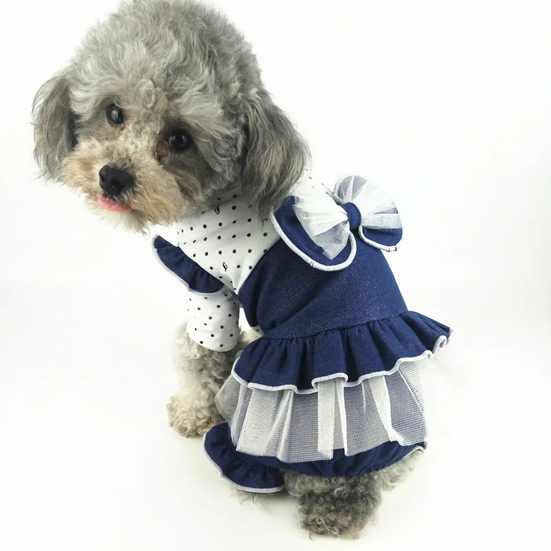 Buy Bigeyedog Spring Dog Clothes Autumn Pet Clothing