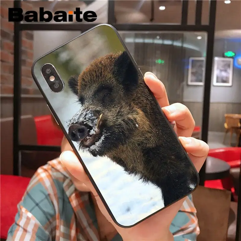 Wild Boar pig animal