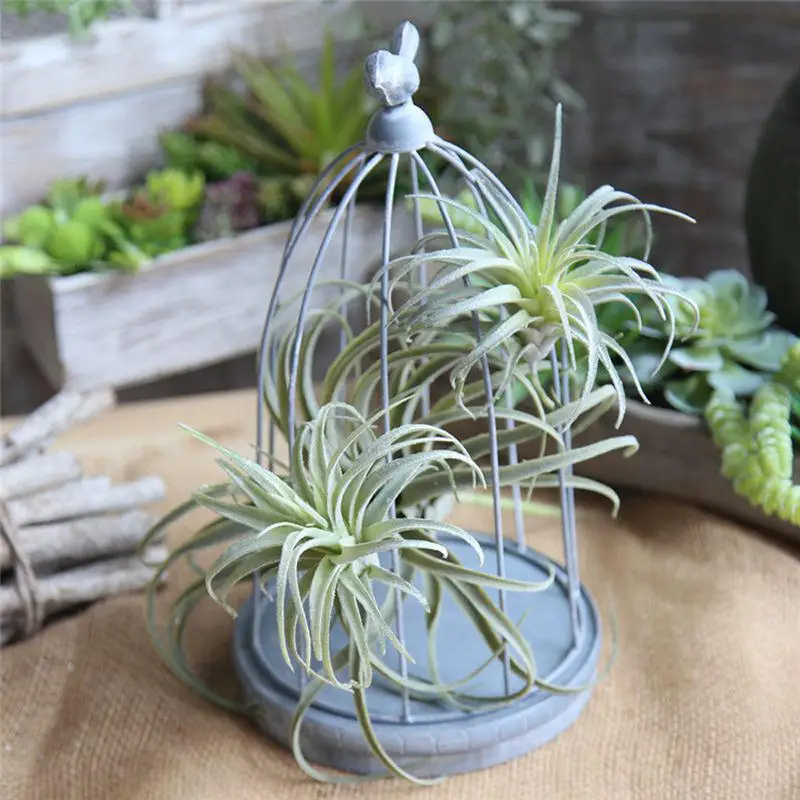 Fake Pineapple Leaves Grass Artificial Succulent Plant Green Air Plants for Home Wedding Bouquet Wall Decoration | Дом и сад