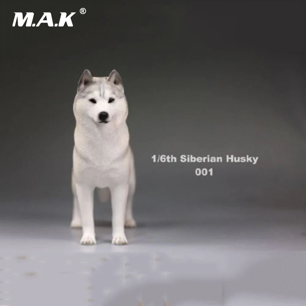 Экшн фигурка 1/6(12 дюймов) аксессуар 1:6 Сибирский хаски Имитация животных