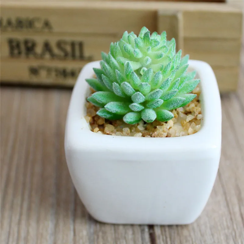 Flone White Small Square Spring Flocking Succulent Plant Bonsai Artificial Plant Bonsai Home Party Office Decor Floral Art (14)