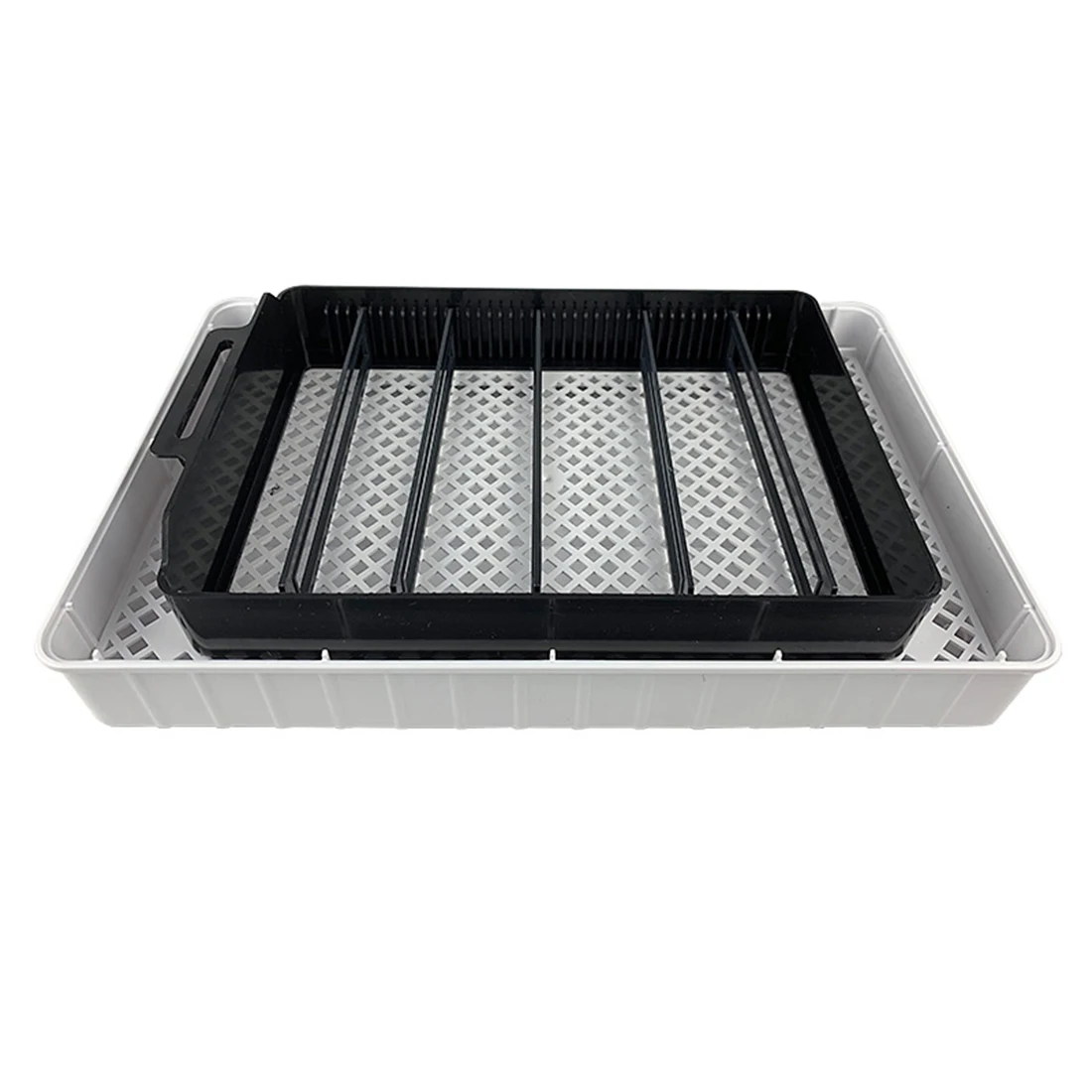 Newest Poultry Incubator Automatic Temperature Digital Eggs Incubator Eggs Best Farm Hatchery Machine For 12Pcs Eggs - EU Plug Newest Poultry Incubator Automatic Temperature Digital Eggs Incubator Eggs Best Farm Hatchery Machine For 12Pcs Eggs - EU Plug