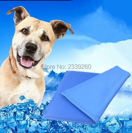 QQ20160629170119_.jpg