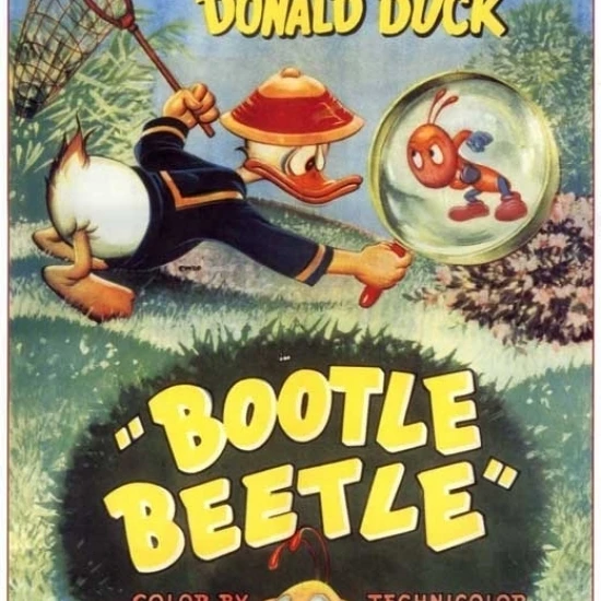 Bootle Beetle Movie Poster (11 x 17)