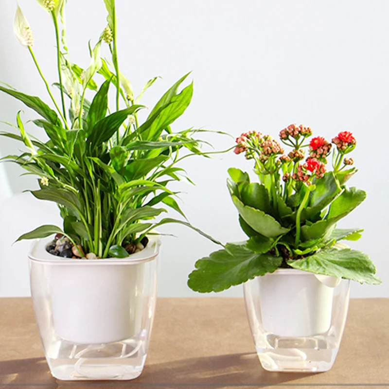 

Fresh Style Double-deck Transparent Plastic Vase for Plants Automatic Water-Absorbing Landscape Flowerpot Home Decor Accessories