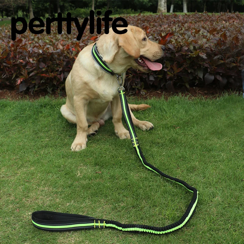 Perttylifedurable ПЭТ выдвижной поводке Малый Товары для собак нейлон стрейч тяги