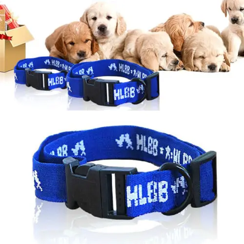 Buy 1Pcs Pet Blue 4 in1 Dog Collars Effective Anti