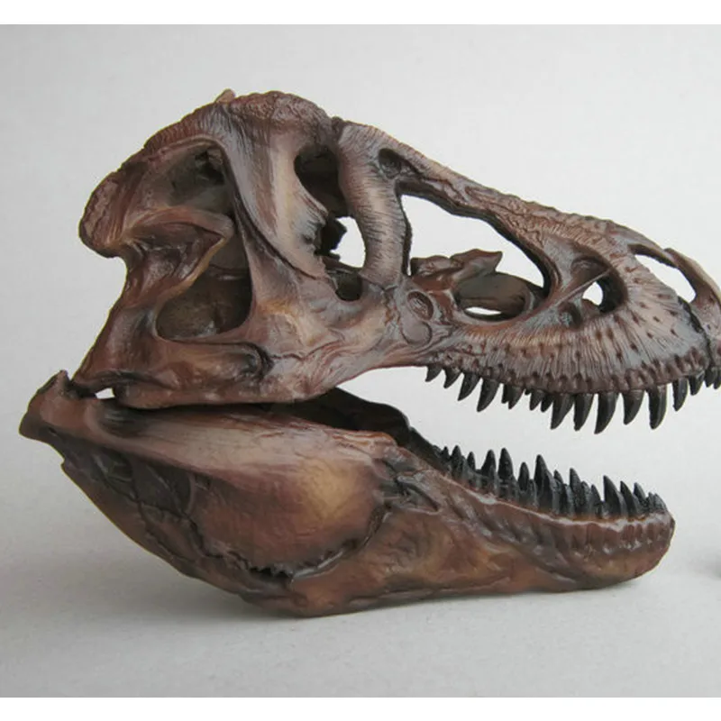 Ремесла Искусство ремесла 1/12 тираннозавр рекс череп динозавра Смола Fossil