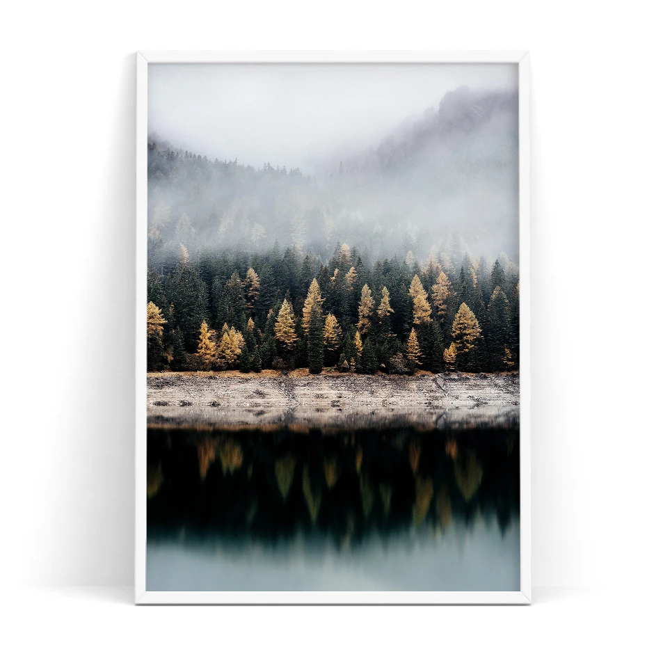 color_opt_4