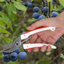 Профессиональные ножницы 180 мм для резки фруктов резак для дерева Садоводство растения ножницы для цветов секатор для веток садовые режущие инструменты