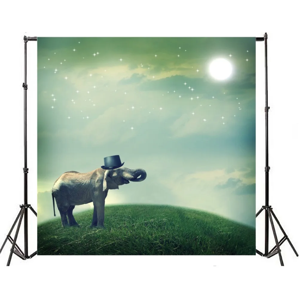 Laeacco Moon Stars Grassland Elephant Hat Children Photography Background Customized Photographic Backdrops For Photo Studio
