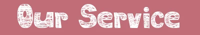 Our service