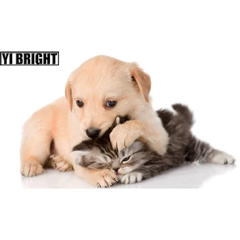 

NEW DIY Full Square/Round Diamond Painting "Lovely Puppy & Pussy" Diamond Embroidery Cross Stitch Needlework Home Decoration GT