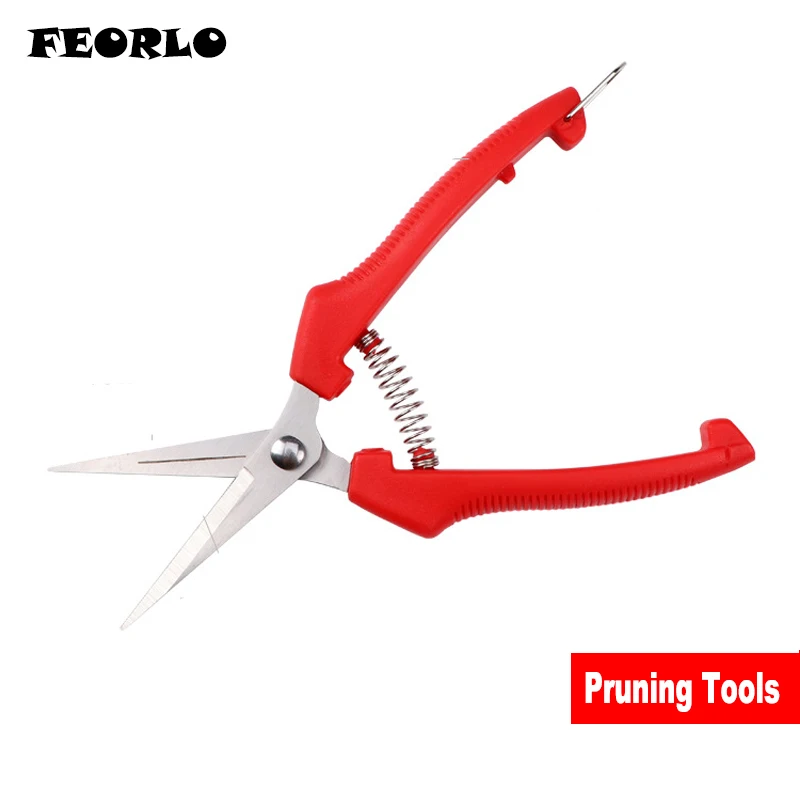 pruning tools  5