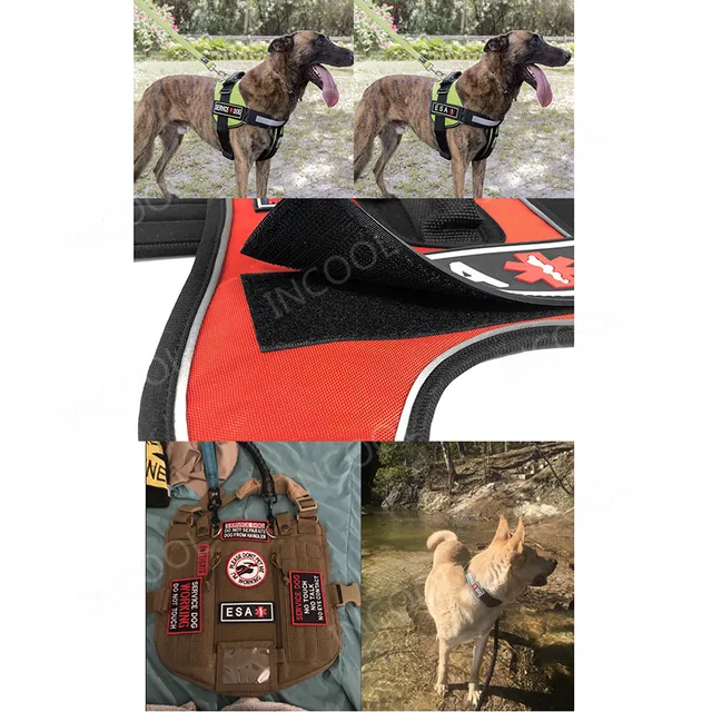 Bcadem Julius K9 Service Dog Harness Working Dog Patches Pcs