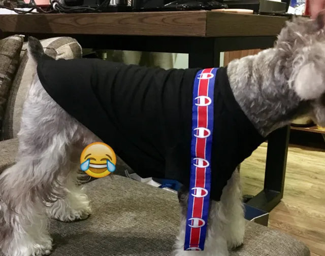 champion dog shirt