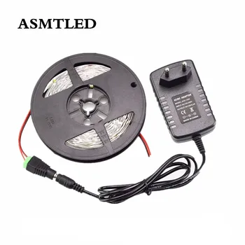 

3528 LED Strip Light DC12V 5M 300 Leds SMD 3528 Diode Tape RGB&Single Colors LED Ribbon Flexible Lights With Power Supply DC