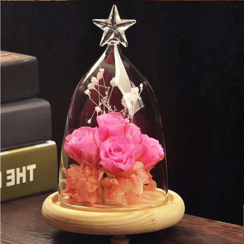 2 sets star dome 2 компл./упак. стеклянная купольная ваза стеклянная крышка с деревянной основой домашняя Свадебная декоративная люстра крышка друг подарок - Цвет: 2 sets star dome