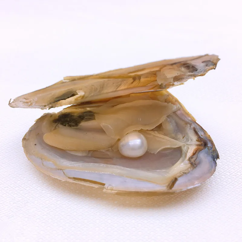 

New store opening, tryout, limited collection Vacuum-pack Mussel Oyster Drop Pearl Pendant Pearls ,Natural freshwater pearl