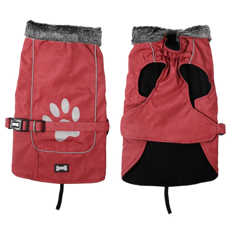 PD10019-_19