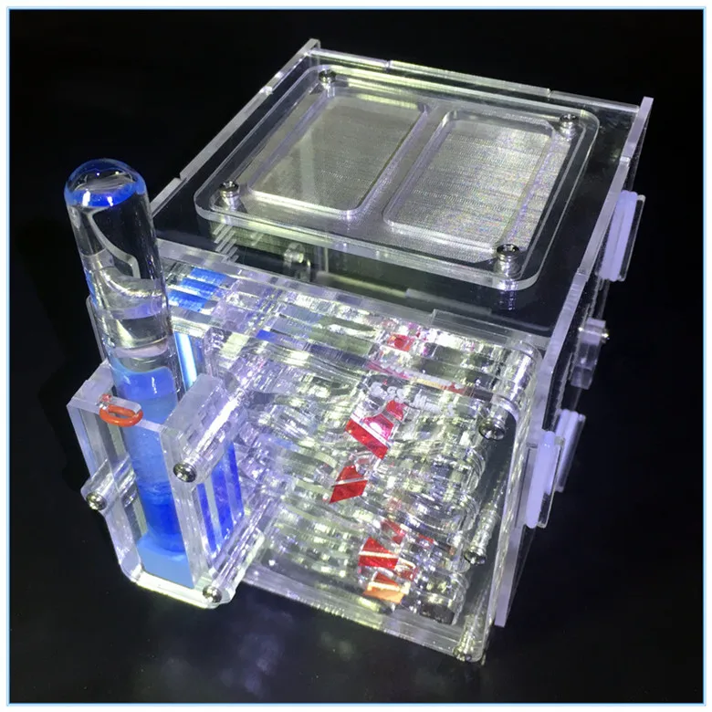 mini-ant-nest-with-tower (6)