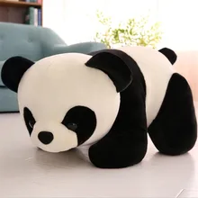 HTB15vsvfRjTBKNjSZFuq6z0HFXam