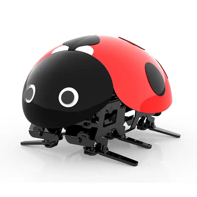 ladybug live pets