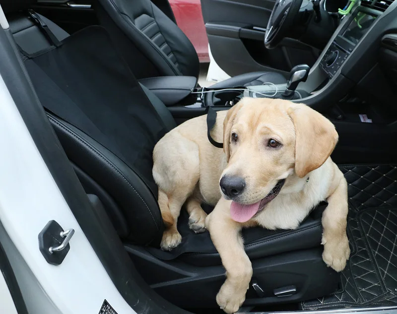 Car Backing Seat Cover 20