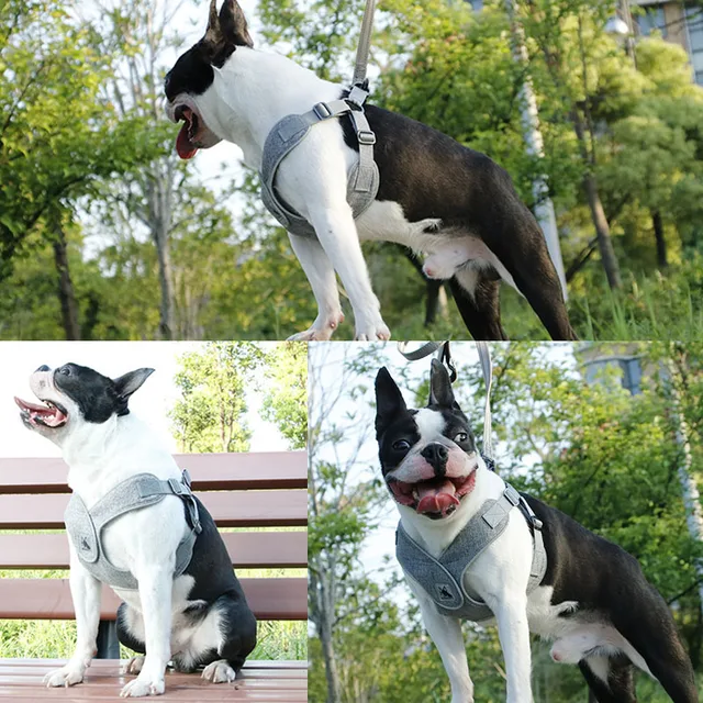 T-MENG Pet Products For Small Dog Harness Adjustable Easy on Pet harness Outdoor Reflective Dog Halter Walking Dog Harness Vest