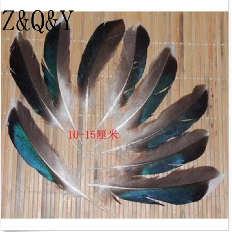 Z & Q Y Природный 25 виды перья фазана 20 PcsDIY перо Jewelry аксессуары для макияжа