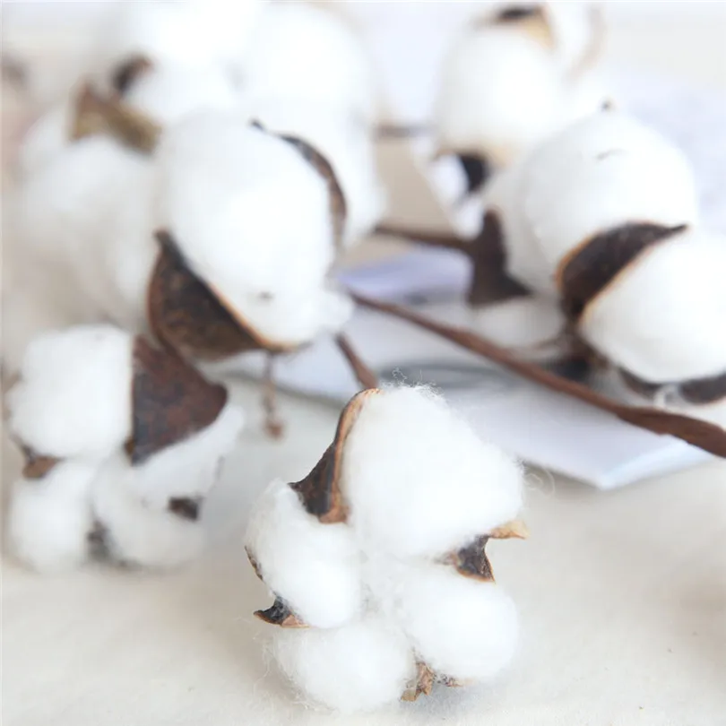 1PCS Artificial Flowers 21 inch Naturally Dried Cotton Stems Farmhouse Style Artificial Flower Filler Floral Decor (5)