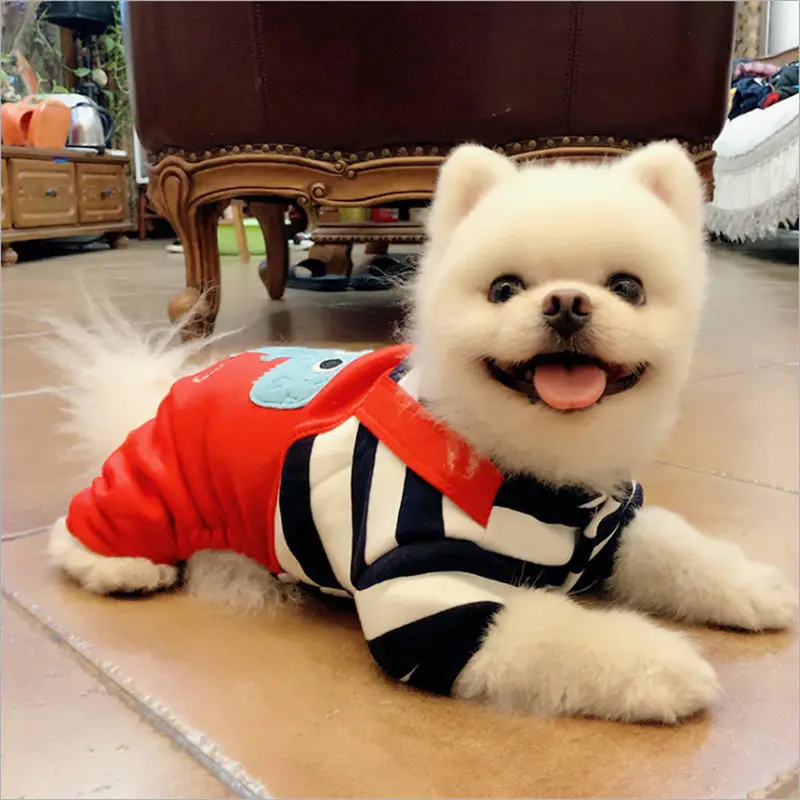 QQ20181204105843