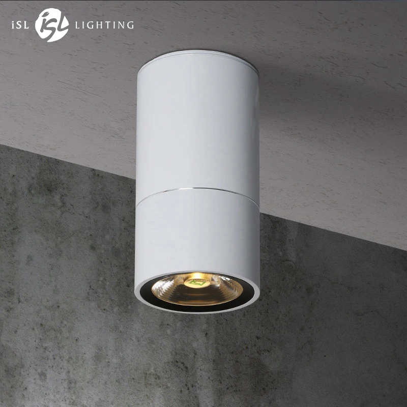 Aisilan Modern Led Downlight Surface Mounted Ceiling Lamp
