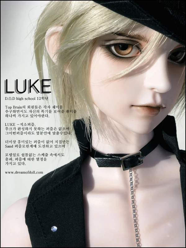 

Flash sale ! free shipping free makeup! Dod luke ver . no . 2 bjd doll sd doll LUKE ver.NO.2 top quality