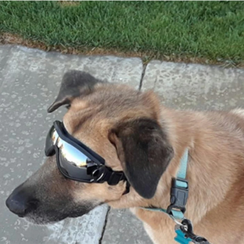Dog Sunglasses UV Protection Windproof Goggles Pet Eye Wear Medium Large Dog Swimming Skating Glasses Accessaries Pet Supplies9
