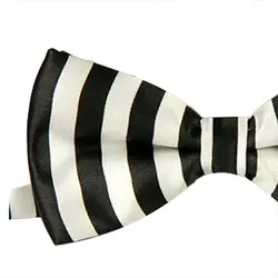 Imc черный с белыми вертикальными полосами шаблон галстук для Для мужчин