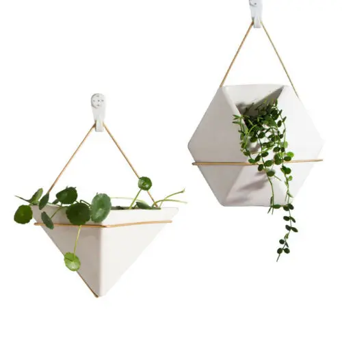

New Wall Hanging Green Plant Wall Hanging Planter Box Pot Flower Holder Ornament