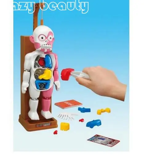 ФОТО 1 set 4D Hazy beauty  MASTER GYMNASTICS ROBOT human body model Funny Cartoon horror body toy for prank.education toy for kids
