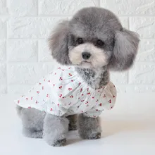 Новая модная одежда для собак, юбка, костюм для йоркширских терьеров и чихуа-Хуа, одежда для щенков, собак, крутая летняя юбка для собак, жилет