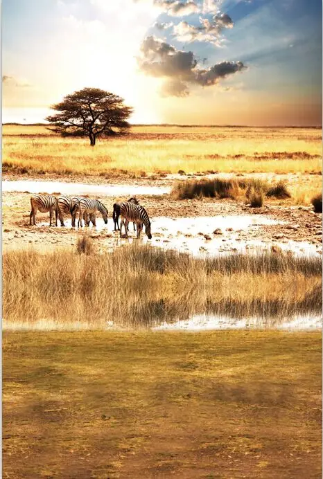 8x15FT-Africa-Grassland-Dired-Grass-Creek-Water-Zebras-Safari-Clouds ...