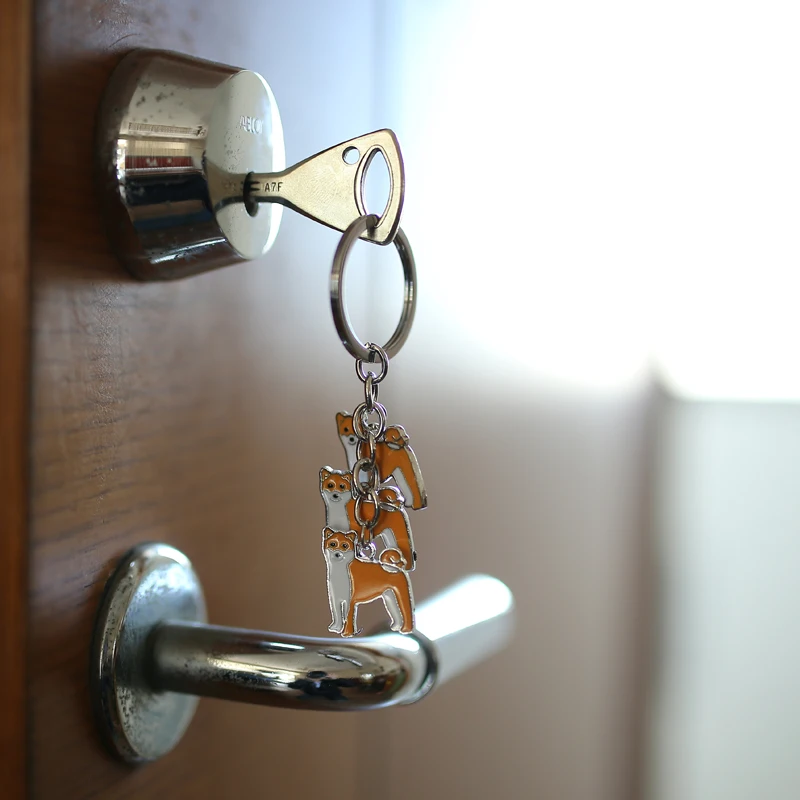 aeProduct.getSubject()