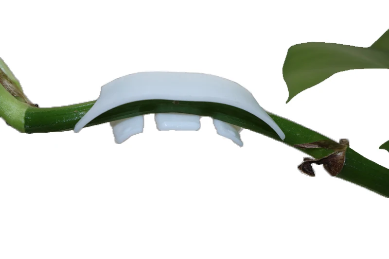 Tomato Gardening Retaining Clips 200pcs Cherry Tomatoes Tomato Stalk Support Clip Ear Clip Semicircle Reinforcing New Material