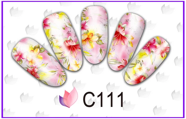 C111