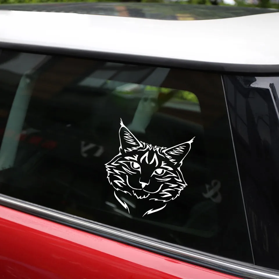 Anycuros Maine Coon Cat Breed Kitten Pet Animal Vinyl Decal Classic Cartoon Window Decoration Car Sticker 1415CM  (11)