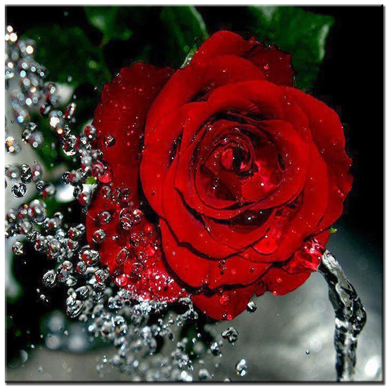 

RUBOS Red rose Flowers 5d diy diamond painting full beads diamond embroidery set mosaic crystal pattern rhinestone trade sale