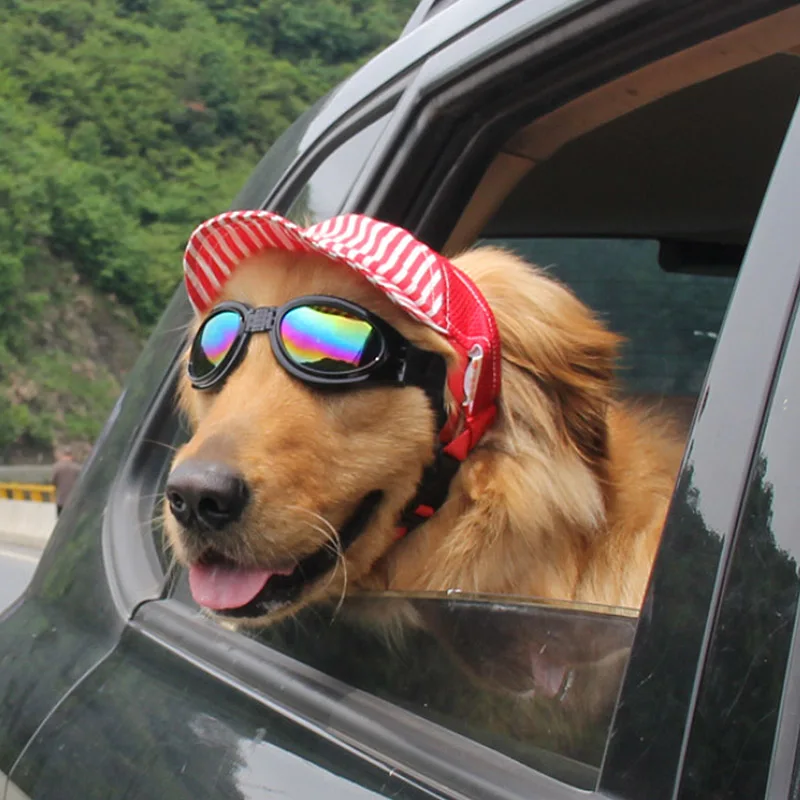 Stripes Pet Dog Hat Baseball Cap Windproof Travel Sports Sun Hats For