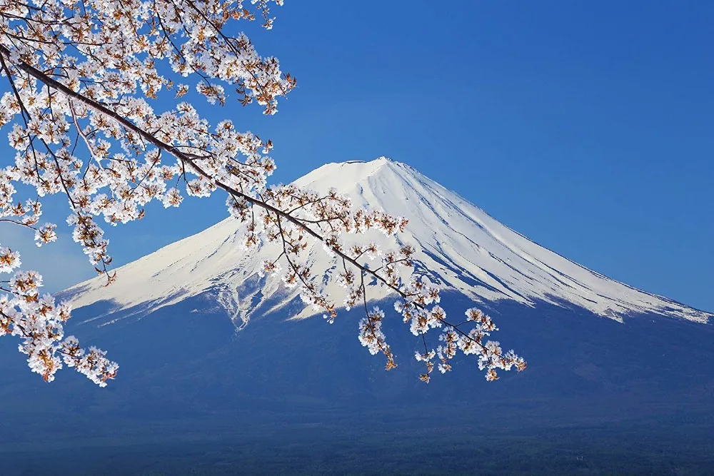 Mount Fuji View Lake Kawaguchiko